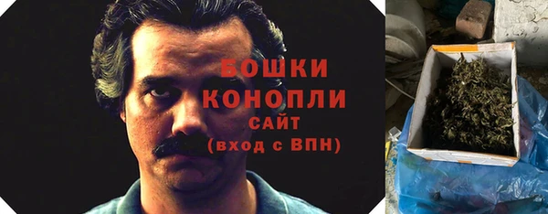 гидра Няндома