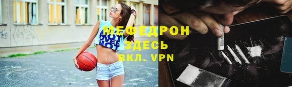 гидра Няндома