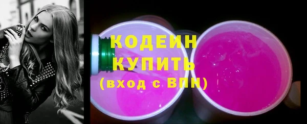гидра Няндома