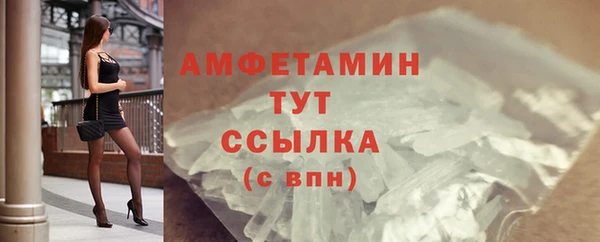 гидра Няндома