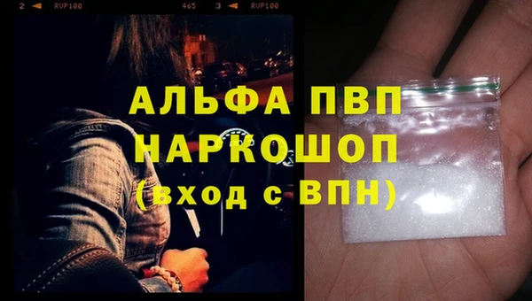 гидра Няндома