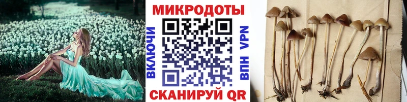 Псилоцибиновые грибы Magic Shrooms  Асбест 