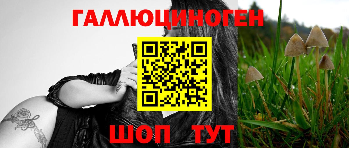 Галлюциногенные грибы Cubensis  Асбест 
